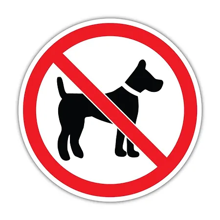 Dagmara I Irka Apartment Zakopane